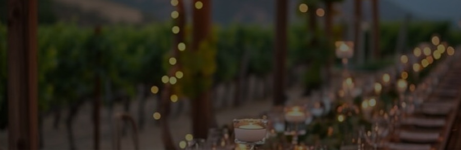 Viñedo de cepa Cabernet Sauvignon