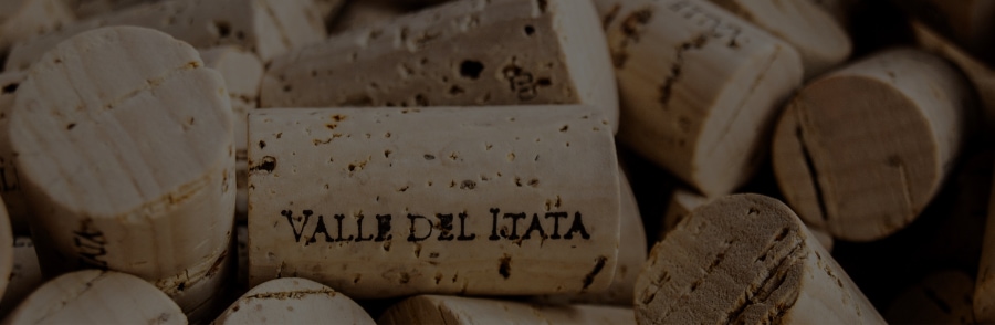 Viñedo de cepa Pinot Noir