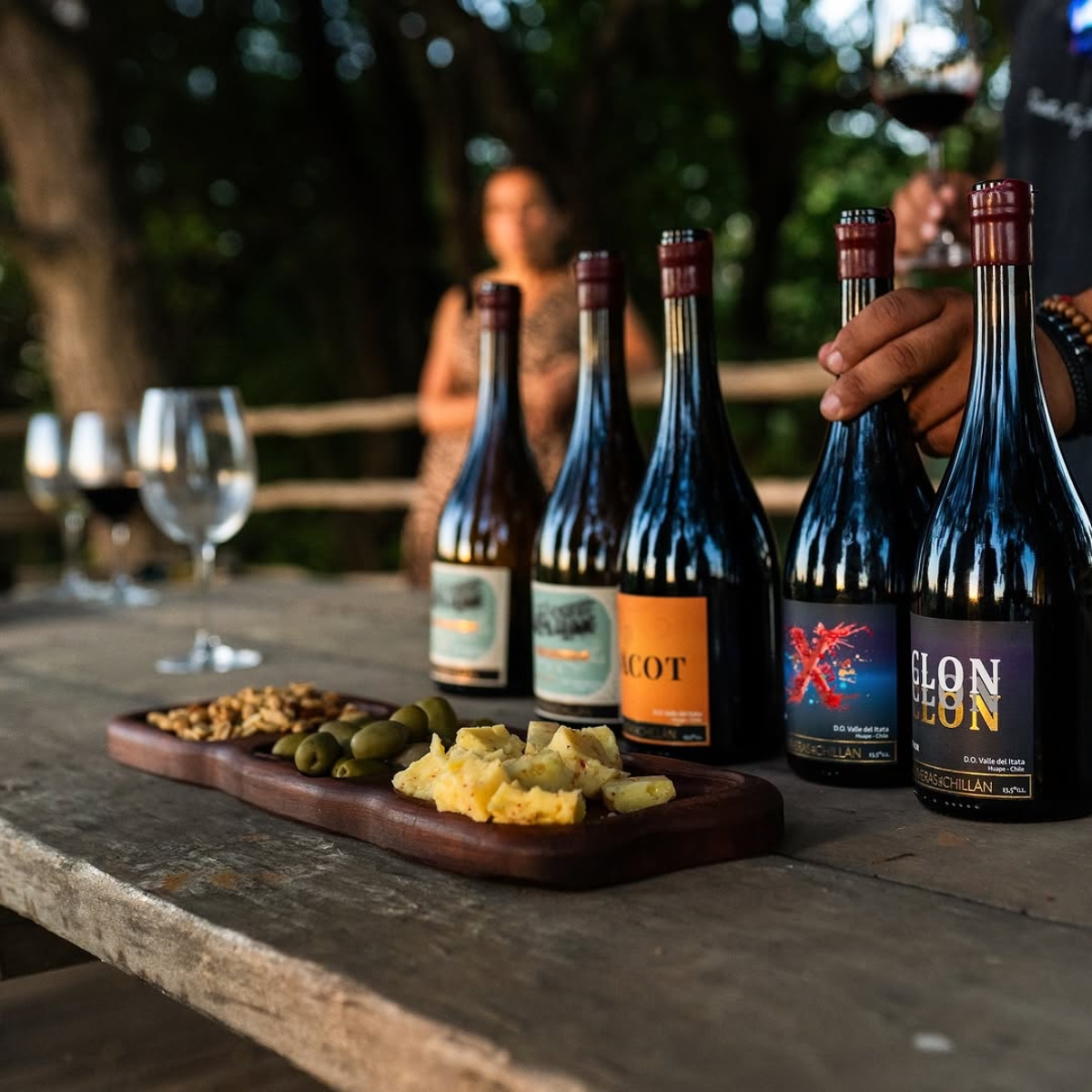 Tour por el viñedo de Riveras del Chillán